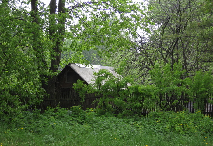 Старый домик